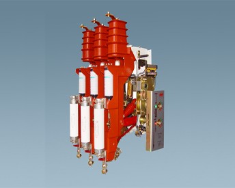 FZRN25-12D/T200-31.5型户内交流高压真空负荷开关-熔断器组合电器